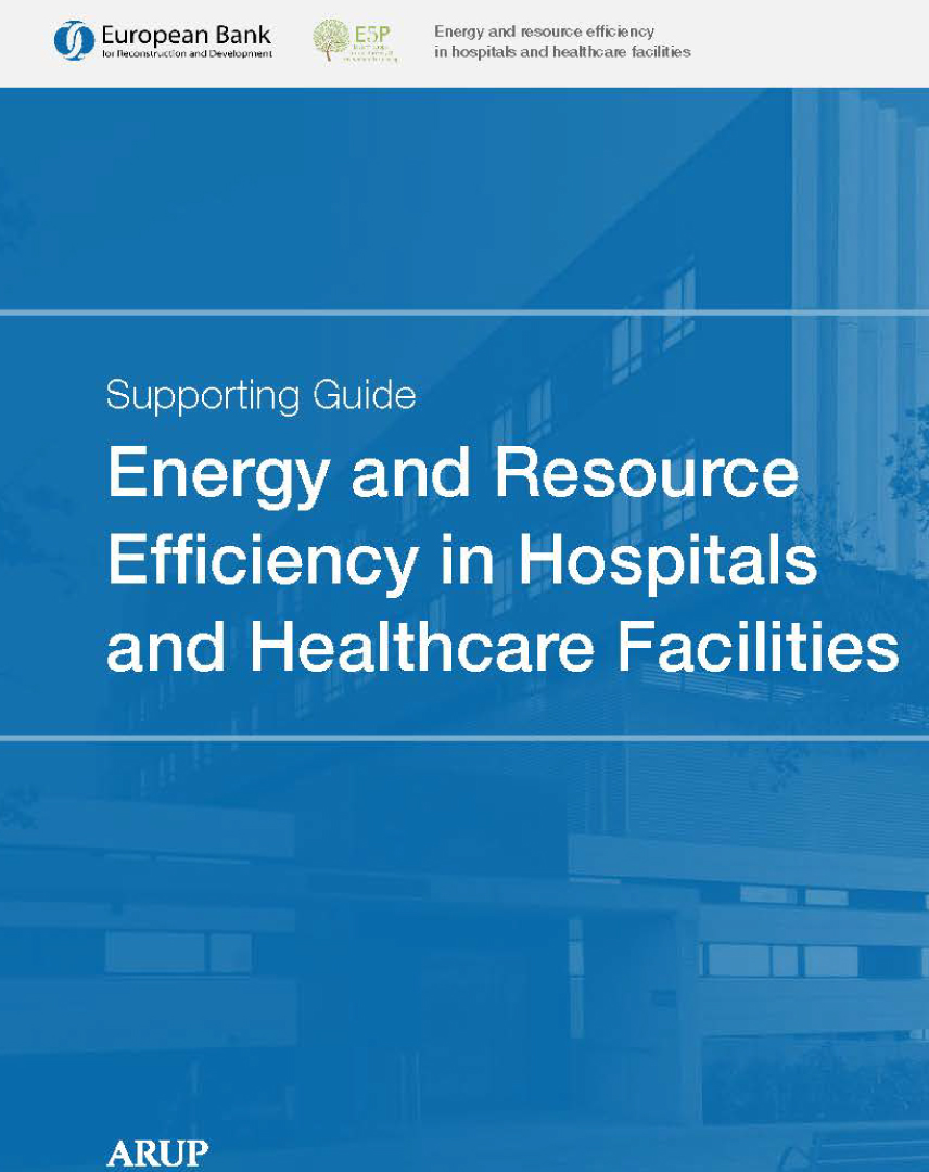 Click to open and view Efficient Hospitals Guide pdf in a new tab